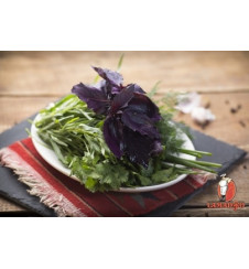 Свежая зелень